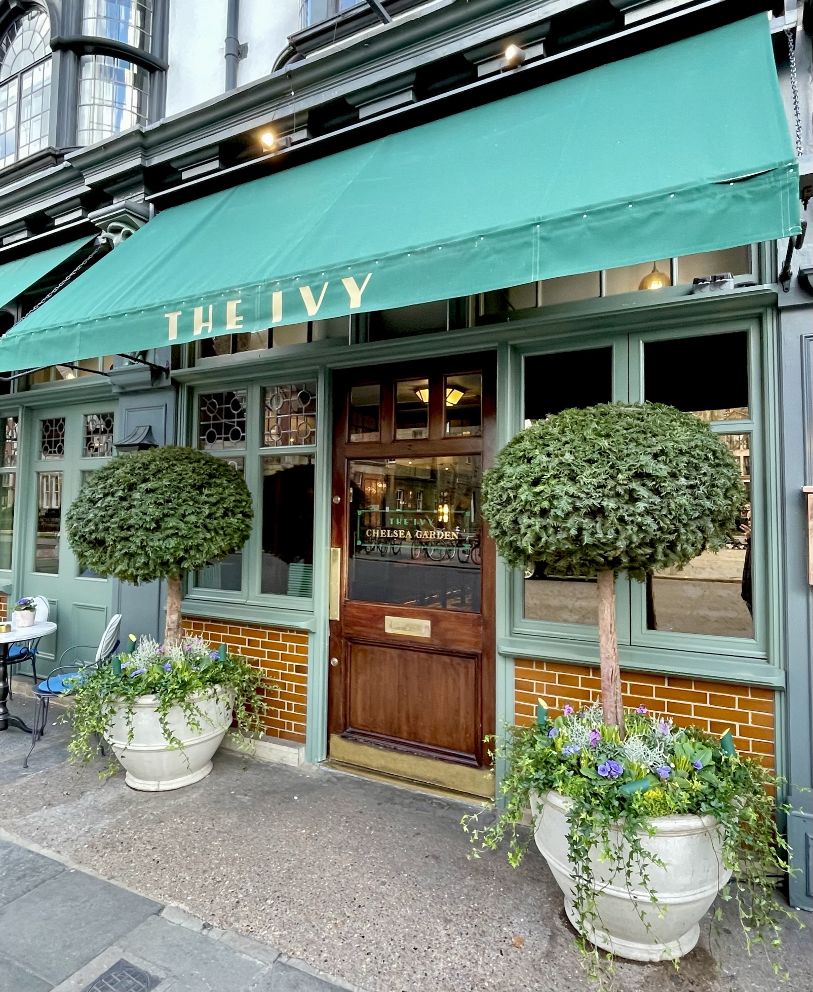 The Ivy